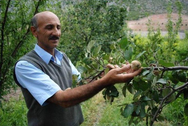 Amasya’da Bir Belde Ve 4 Köyü Dolu Vurdu G5