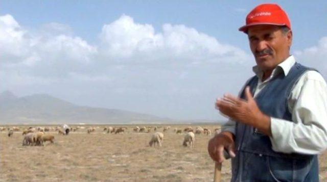 Karapınar&rsquo;Da Kurulması Planlanan G&uuml;neş Panellerine Tepki 1