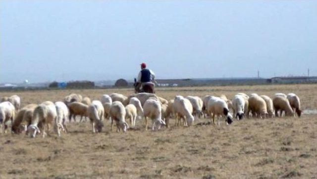 Karapınar&rsquo;Da Kurulması Planlanan G&uuml;neş Panellerine Tepki 2