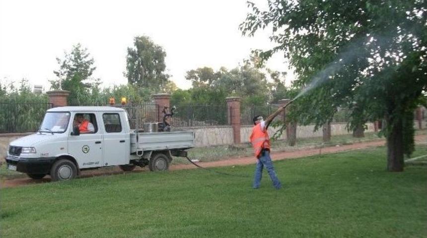 Nazilli&rsquo;de İla&ccedil;lama &Ccedil;alışmaları Aralıksız S&uuml;r&uuml;yor