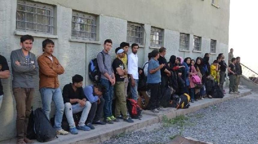 49 Afgan Ka&ccedil;ağı Mehmet&ccedil;ik Kurtardı