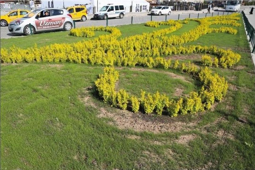 B&uuml;y&uuml;kşehir Belediyesi 500 Bin Adet &Ccedil;i&ccedil;ek Dikiyor, Erzurum Rengarenk Oluyor