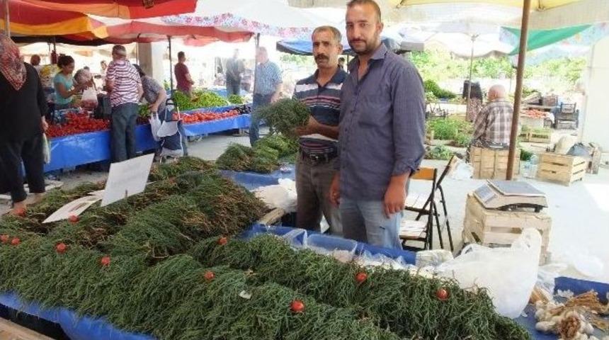 Deniz B&ouml;r&uuml;lcesi Ge&ccedil;im Kaynağı Oldu