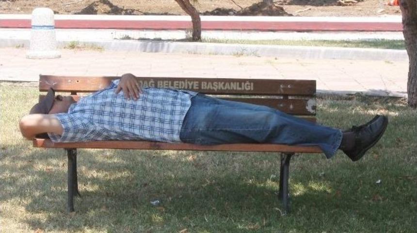 Isınan Hava Bunalttı, Vatandaş &Ccedil;areyi Ağa&ccedil; G&ouml;lgesinde Uyumakla Buldu