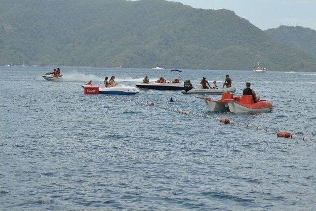 Turistlere Sahilde Yunus S&uuml;rprizi 1