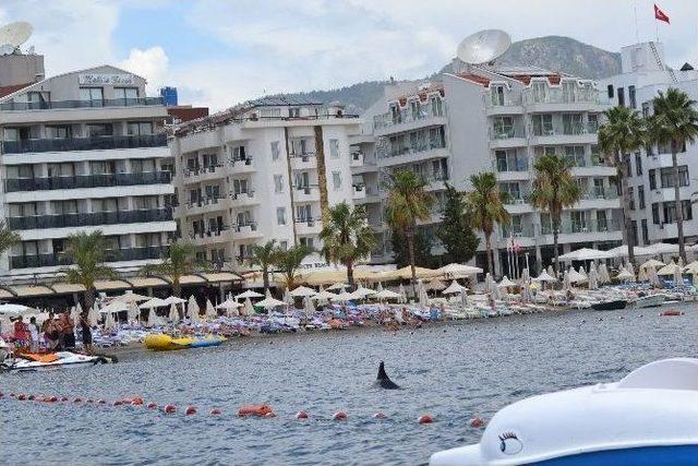 Turistlere Sahilde Yunus S&uuml;rprizi 3