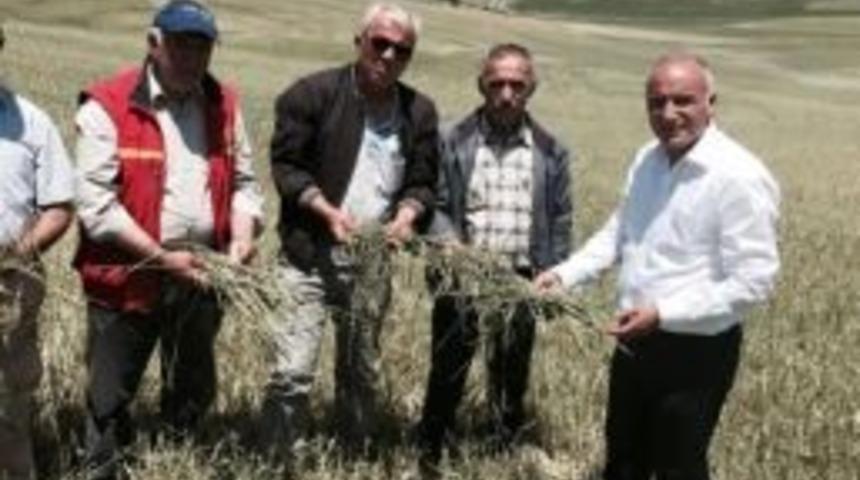 İ&ccedil; Anadolu&rsquo;nun Tarım Ambarları Haymana Ve Polatlı&rsquo;da D&uuml;ş&uuml;ş Var