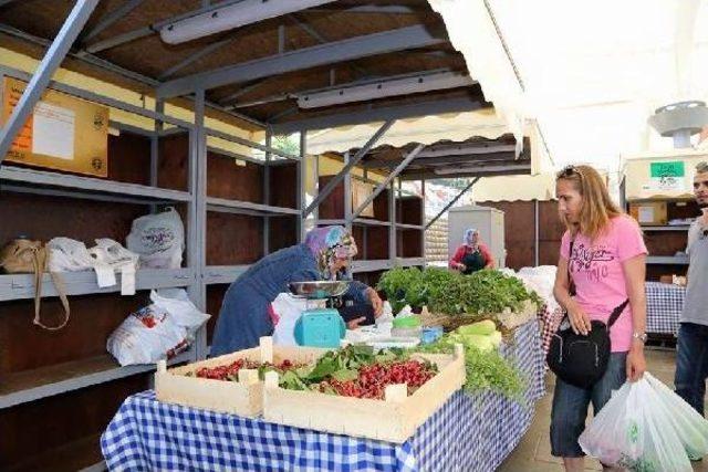 Yeryüzü Pazarı'nın İstanbul'daki Ilk Adayı Şile Doğal Ürünler Pazarı Açıldı