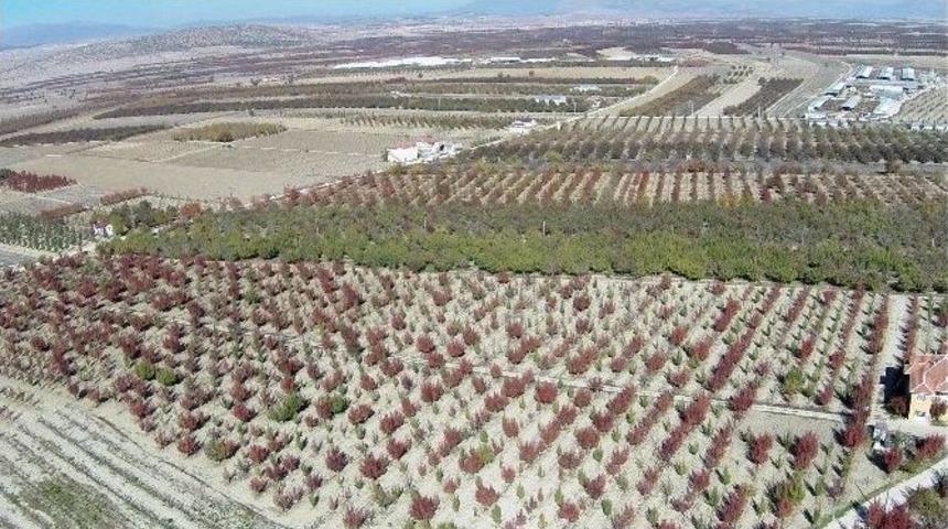 Korkuteli&rsquo;nde 56 Bin 860 Dekar Tarım Alanı Suya Kavuşuyor