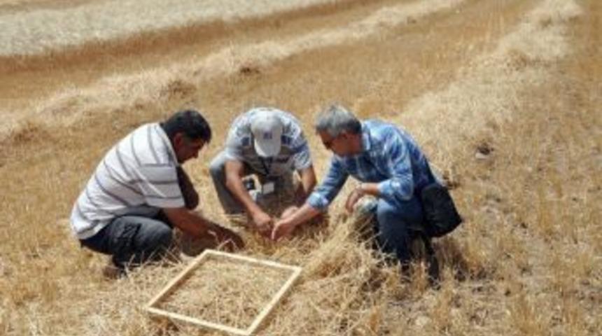 Ankara&rsquo;da Bi&ccedil;erd&ouml;ver Kontrolleri İ&ccedil;in Ekipler Hazır
