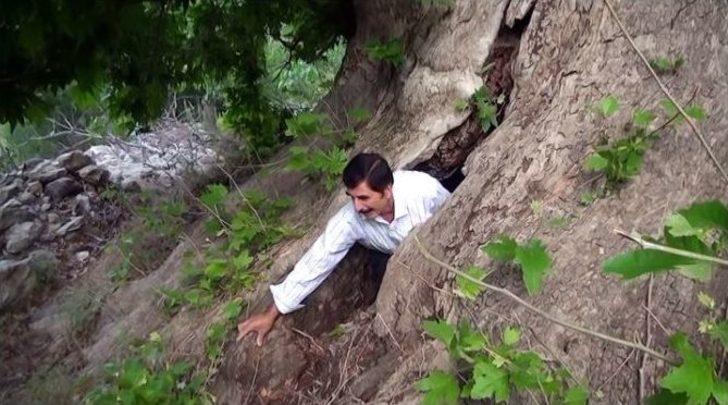 Çınar Ağacının Kovuğunda Teravih Namazı G4