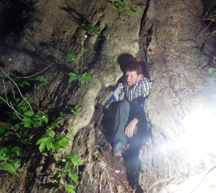 Çınar Ağacının Kovuğunda Teravih Namazı G5