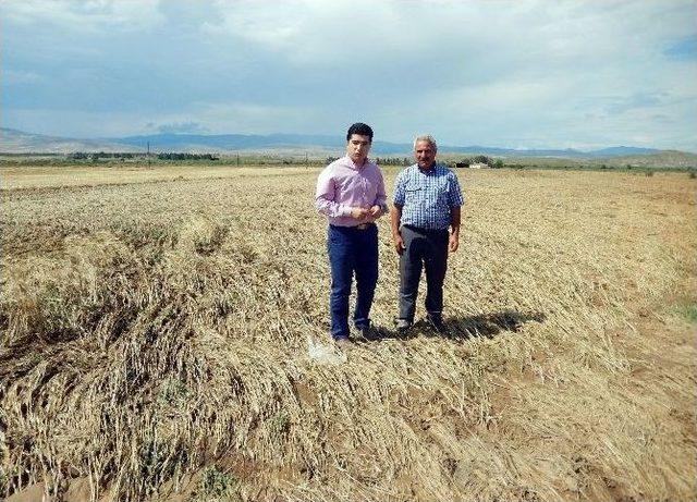 Çorum’daki Tarım Arazilerini Sel Vurdu