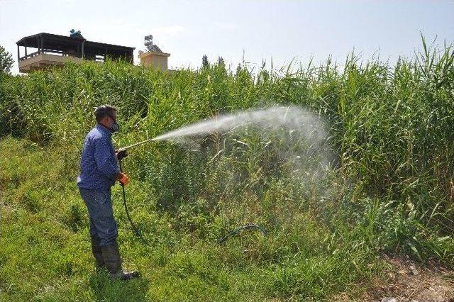 Akçay Ve Cemil Temel Mahallesi’nde Çalışmalar Sürüyor