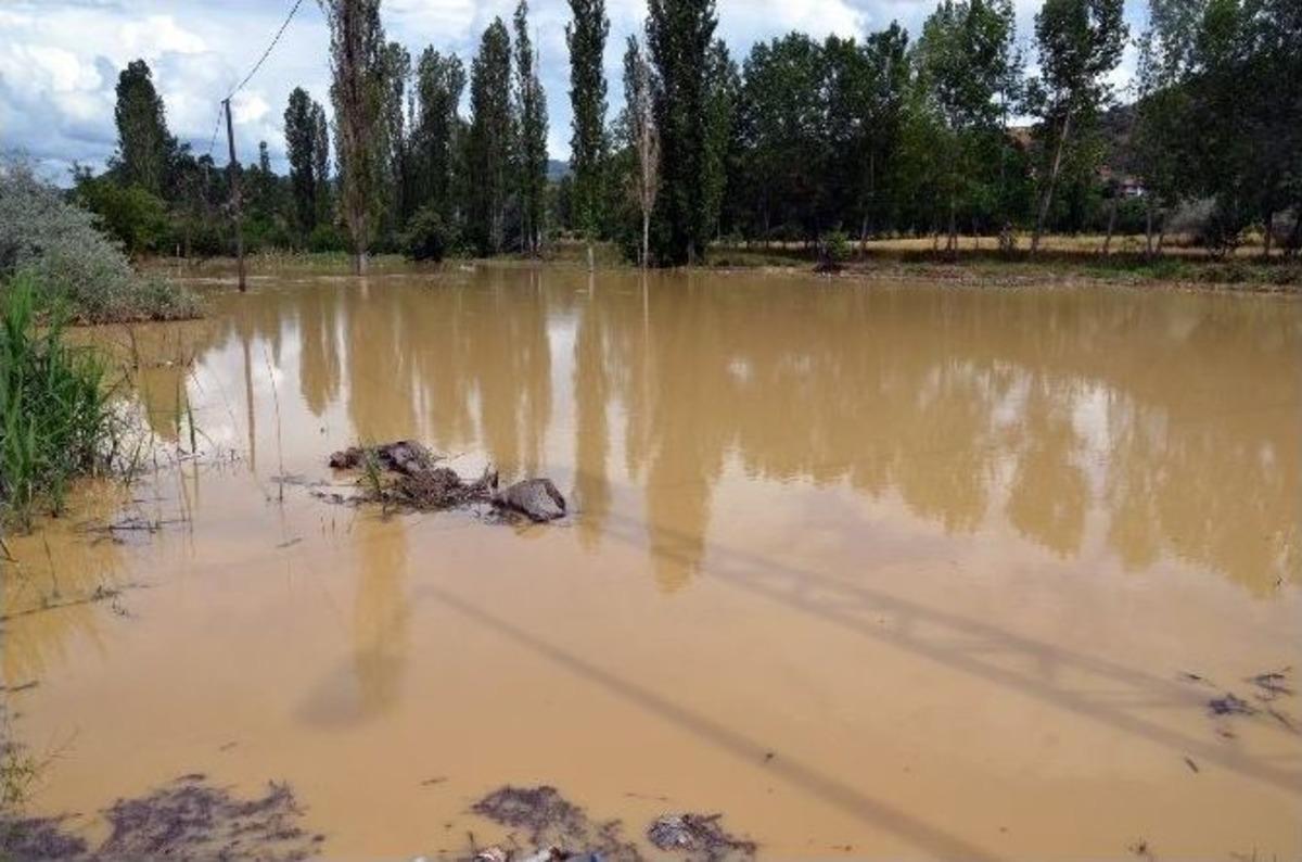 Tarım Arazileri G&ouml;le D&ouml;nd&uuml;