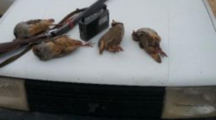 Korkuteli&rsquo;nde Ka&ccedil;ak Ava 3 Bin Tl Ceza