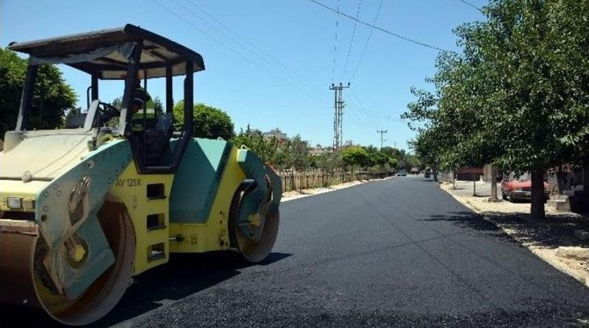 Başkan Kara, Asfalt &Ccedil;alışmalarını İnceledi