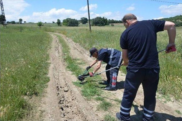 İtfaiyeden Başarılı Yılan Operasyonu