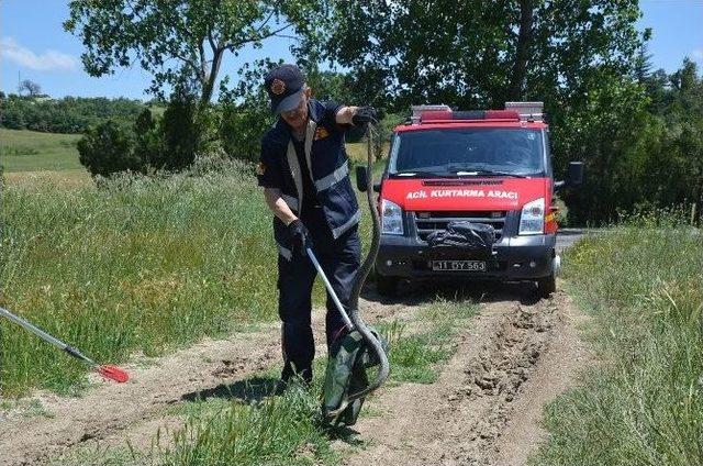 İtfaiyeden Başarılı Yılan Operasyonu