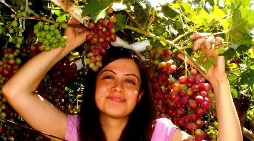 Sarıg&ouml;l'de Erkenci &Uuml;z&uuml;m Yetiştirildi