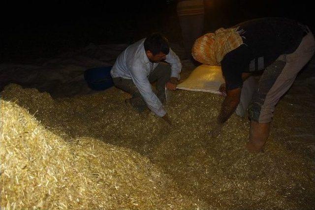 Çiftçiler Mesai Saatlerine Ramazan Ayarı Verdi