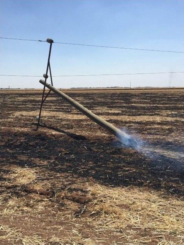 Mardin&rsquo;de Elektrik Direkleri Anızlarla Birlikte Yandı 1