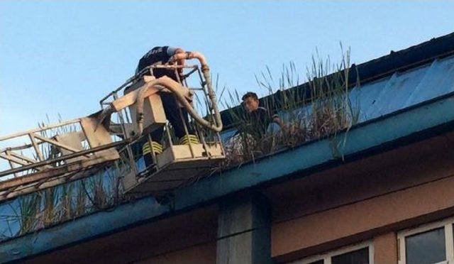 Topunu Almak Için Çıktığı Çatıda Mahsur Kaldı 1