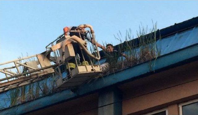 Topunu Almak Için Çıktığı Çatıda Mahsur Kaldı 2