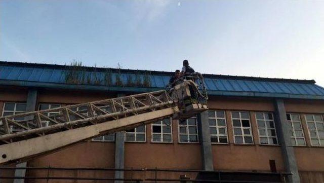 Topunu Almak Için Çıktığı Çatıda Mahsur Kaldı 3