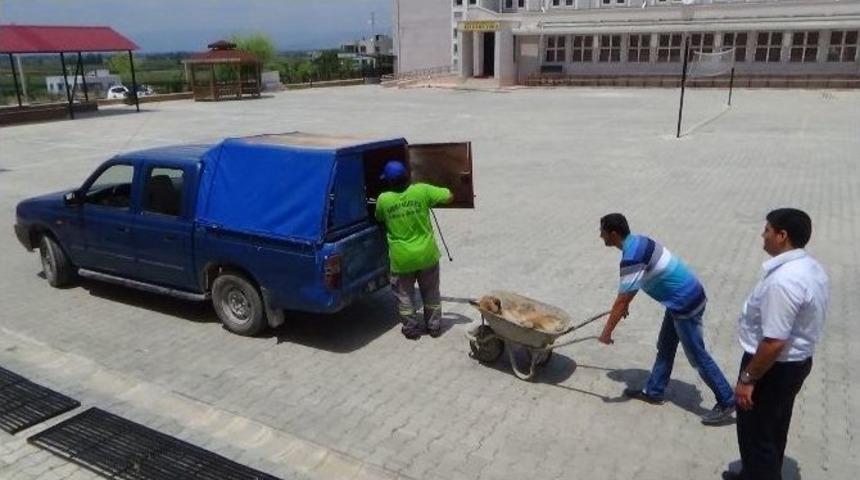 (&ouml;zel Haber) Okula Giren Sokak K&ouml;peğini &Ccedil;ıkarma Operasyonu