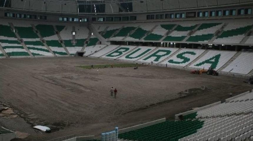 Timsah Arena&rsquo;da &Ccedil;im Serme İşlemine Başlandı