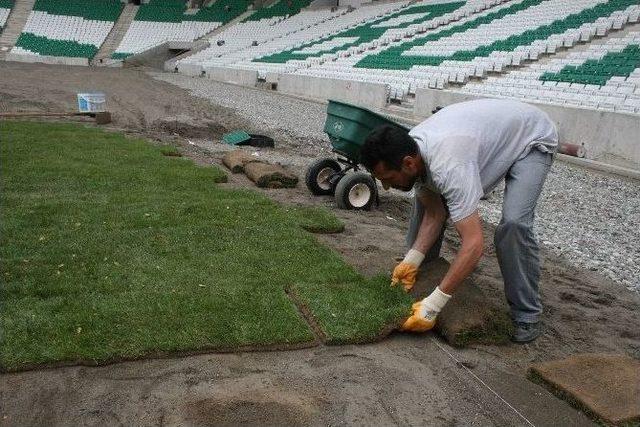 Timsah Arena’da Çim Serme İşlemine Başlandı