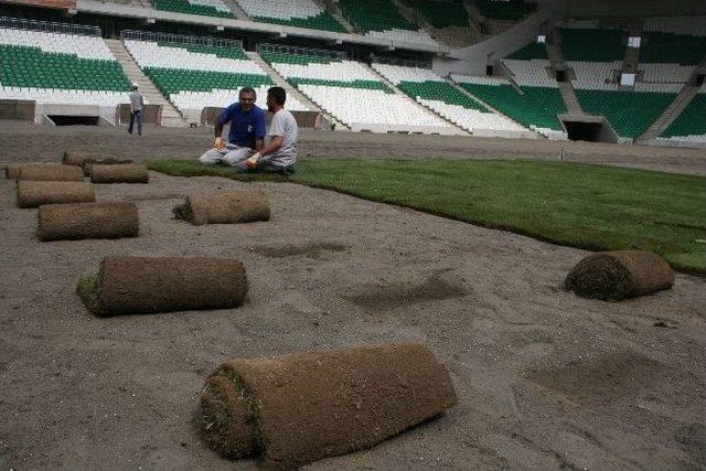 Timsah Arena’da Çim Serme İşlemine Başlandı