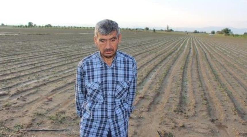 Kınık'ta Dolu Binlerce D&ouml;n&uuml;m Tarım Alanını Vurdu