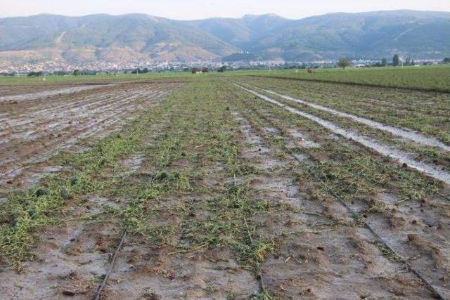 Kınık ta Dolu Binlerce D&ouml;n&uuml;m Tarım Alanını Vurdu 2