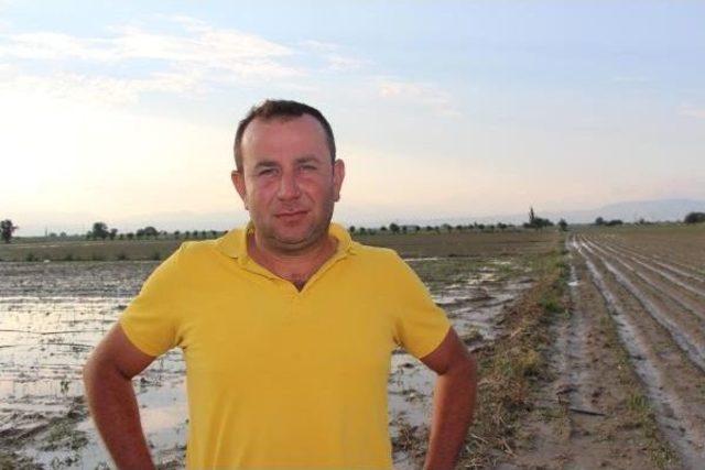 Kınık ta Dolu Binlerce D&ouml;n&uuml;m Tarım Alanını Vurdu 3