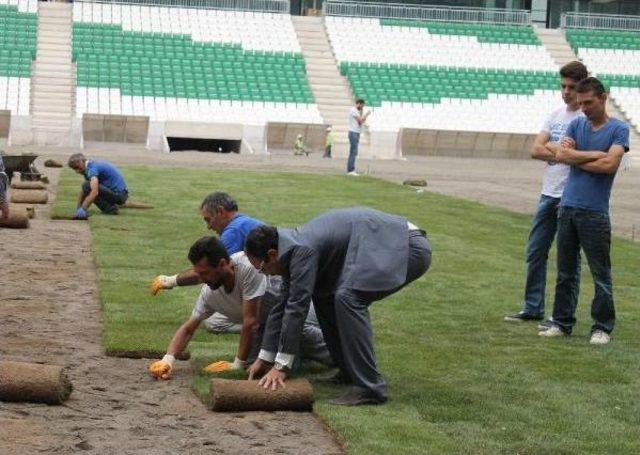 Timsah Arena Çimleniyor 1