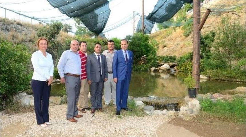 Kuş Cenneti Ve Mini Hayvanat Bah&ccedil;esi A&ccedil;ıldı