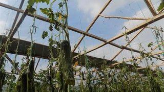 Amasya’daki Dolu Yağışının Bilançosu Açıklandı