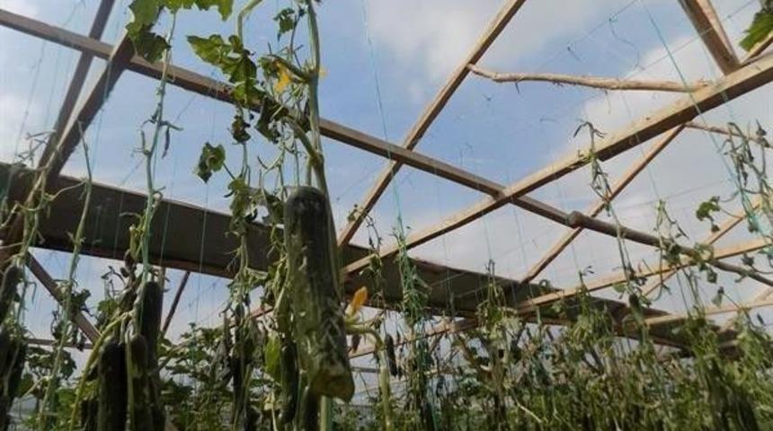 Amasya’daki Dolu Yağışının Bilançosu Açıklandı