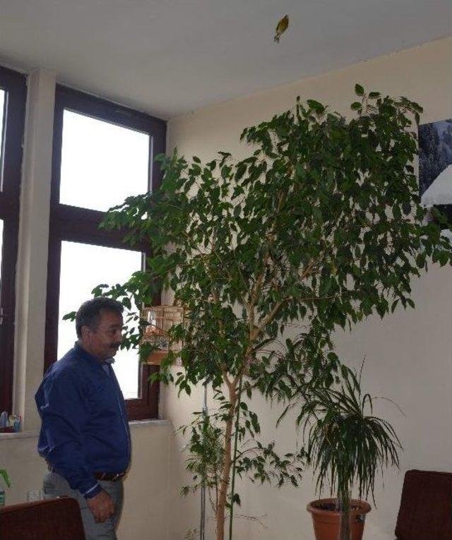 &Ccedil;ok Sevdiği Doğayı Makamına Taşıdı 2