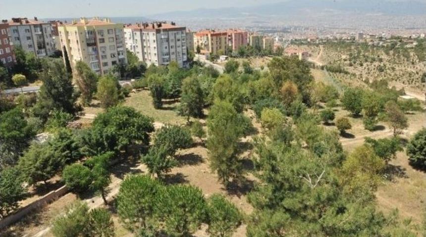 Buca&rsquo;ya &Ouml;zel Park