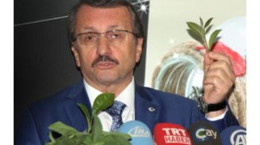 &Ccedil;aykur 8 Yıl &Uuml;zerine Kar Etti