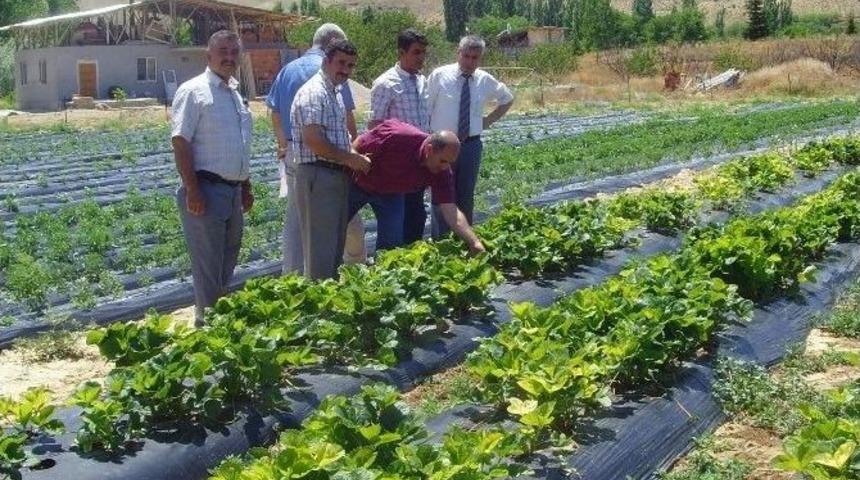 Demonstrasyon Ve &Uuml;retim Sahaları Gezildi