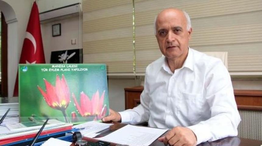 Manisa Lalesinin Genetiği &Ccedil;ıkıyor