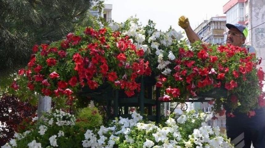 Z&uuml;lfiye &Ccedil;i&ccedil;eklerine &Ouml;zel Bakım