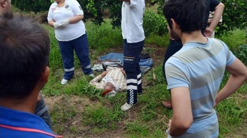 Yaşlı Adam, &Ccedil;alıştığı Portakal Bah&ccedil;esinde Can Verdi