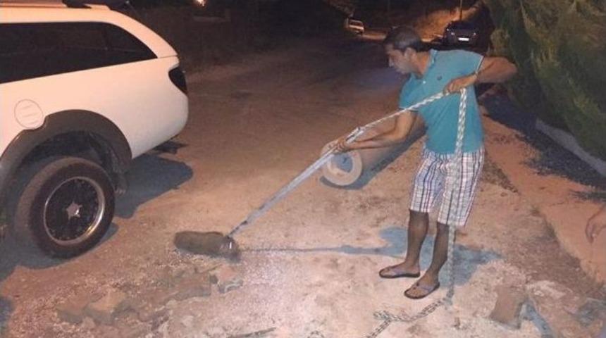 Marmaris&rsquo;te &Ccedil;ukura D&uuml;şen Yavru Domuz Kurtarıldı