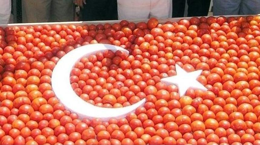 Domates, Soğan Ve Patates &Uuml;reticisine Hastalık Uyarısı