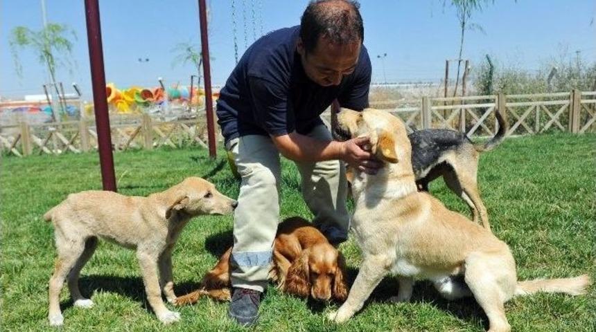 Pet Shop Sahiplerine Sertifika Eğitimi
